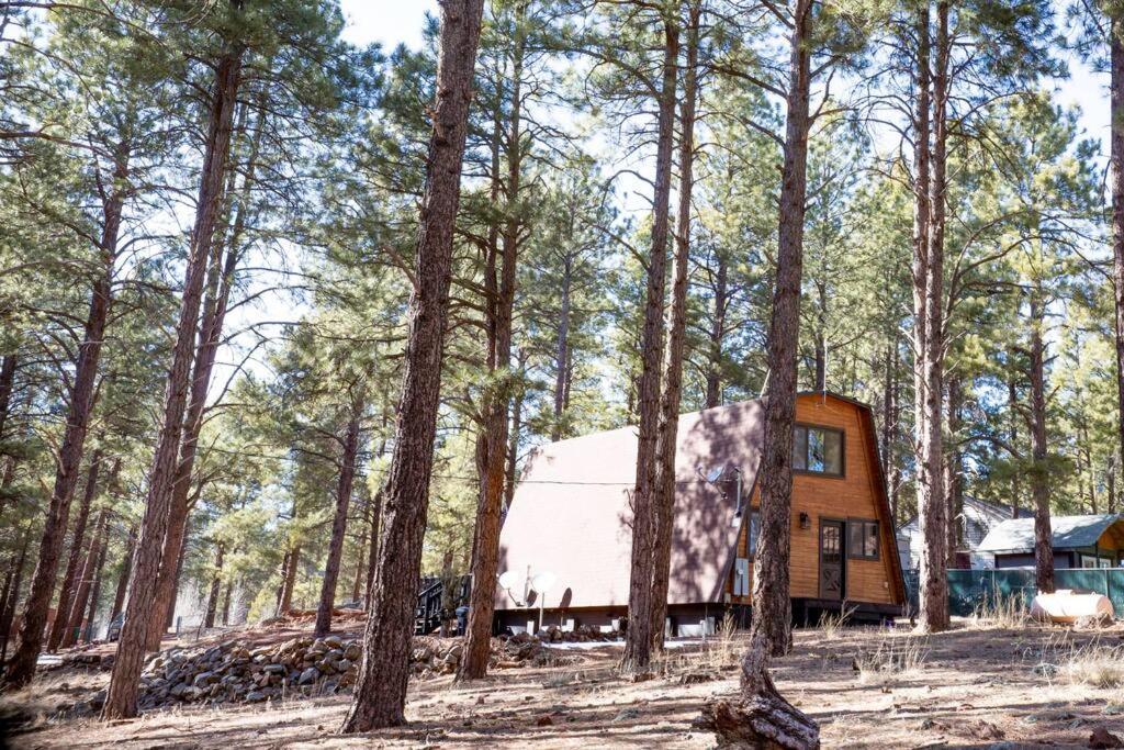 Grand Canyon Cabin! One Hour And 10 Minutes To The South Entrance! Williams Eksteriør billede