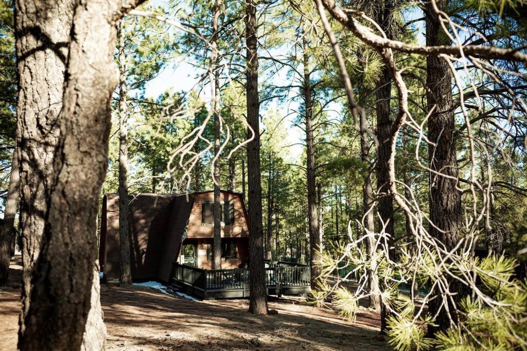 Grand Canyon Cabin! One Hour And 10 Minutes To The South Entrance! Williams Eksteriør billede