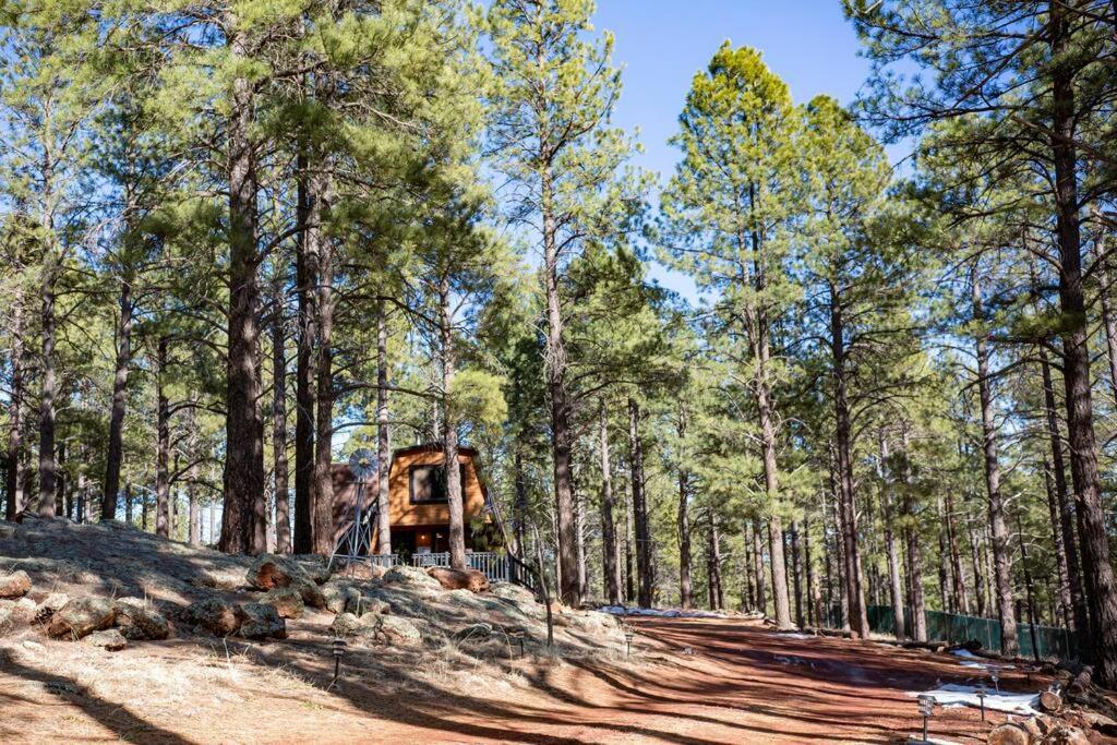 Grand Canyon Cabin! One Hour And 10 Minutes To The South Entrance! Williams Eksteriør billede