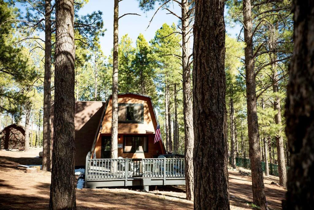 Grand Canyon Cabin! One Hour And 10 Minutes To The South Entrance! Williams Eksteriør billede