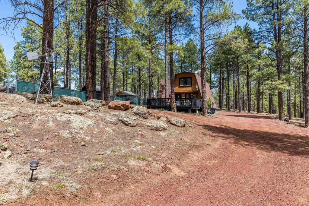 Grand Canyon Cabin! One Hour And 10 Minutes To The South Entrance! Williams Eksteriør billede