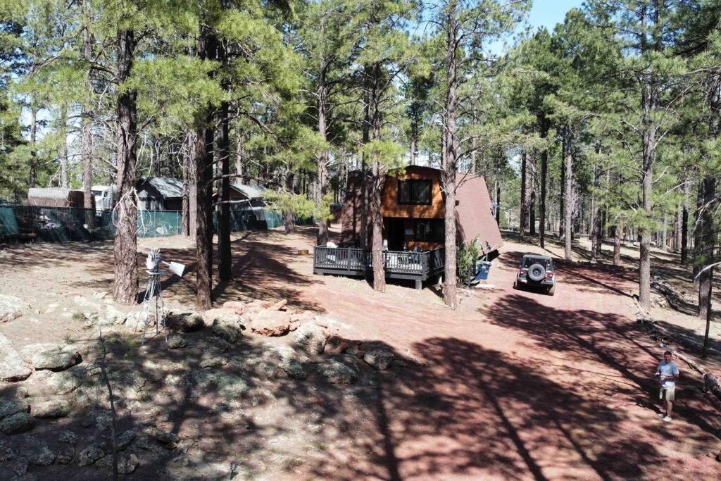 Grand Canyon Cabin! One Hour And 10 Minutes To The South Entrance! Williams Eksteriør billede